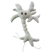 brain-cell_01.jpg