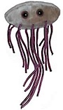 ecoli.jpg